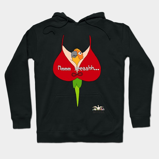 HWS SASSY COLLECTION! - SUN CONURE Hoodie by HappyWings